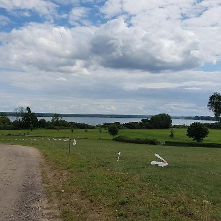 Ferienhaus Plau Am See, Direkt Am Wasser Plau am See Exterior foto